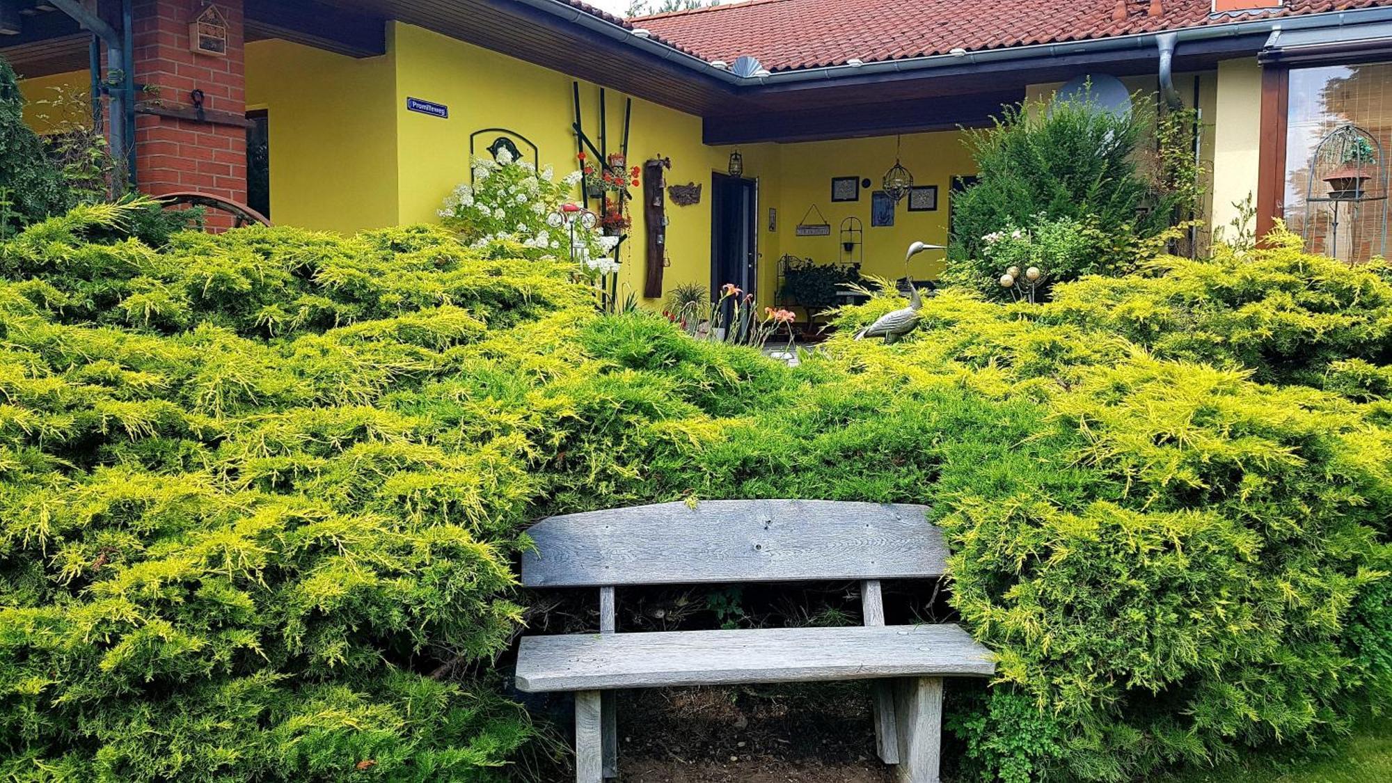 Ferienwohnung Guenther , 3 - Sterne 瓦伦 外观 照片